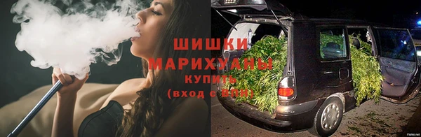 дурь Гусев