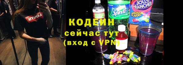дурь Гусев