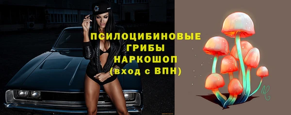 дурь Гусев