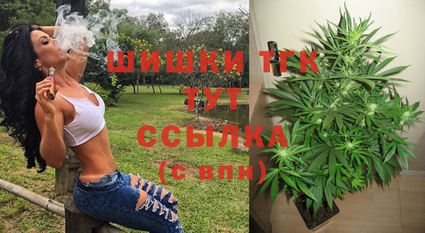 дурь Гусев