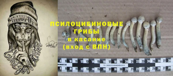 МДПВ Гусиноозёрск