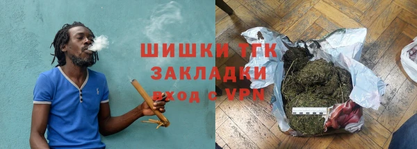 дурь Гусев