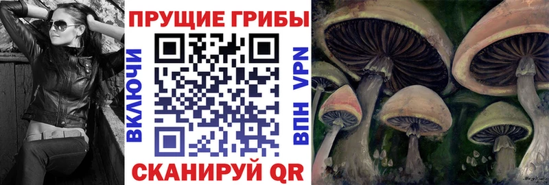 Галлюциногенные грибы MAGIC MUSHROOMS  Купить закладки  Ростов-на-Дону 